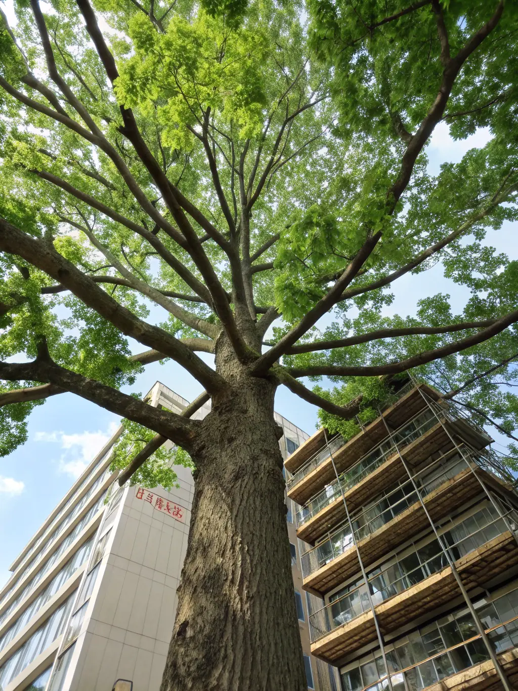 An image symbolizing long-term value creation, such as a growing tree or a secure vault, representing the lasting benefits of strategic IP management.